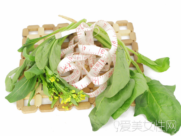  時(shí)令野菜| 美味健康兼顧的春之饗宴 